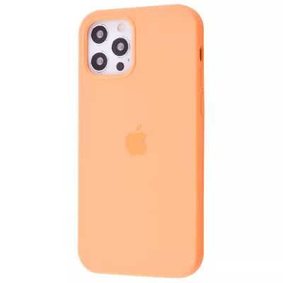 Чехол SilK Full Cover iPhone 12 Pro Max